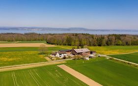 Hof-Tschannen